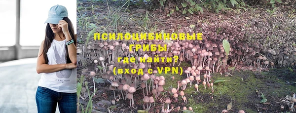 сатива Михайловск