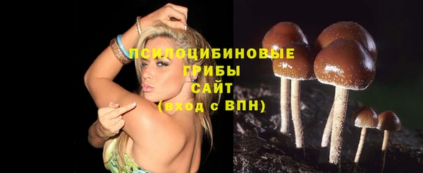 ALPHA PVP Михайлов