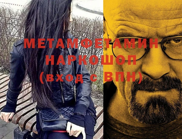 сатива Михайловск