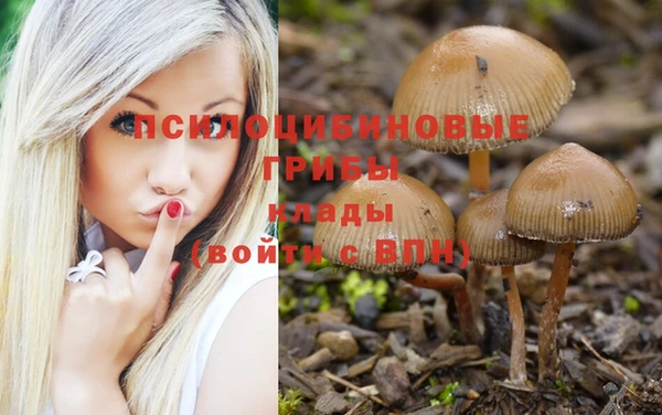 ALPHA PVP Михайлов