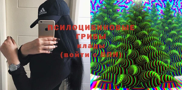 сатива Михайловск